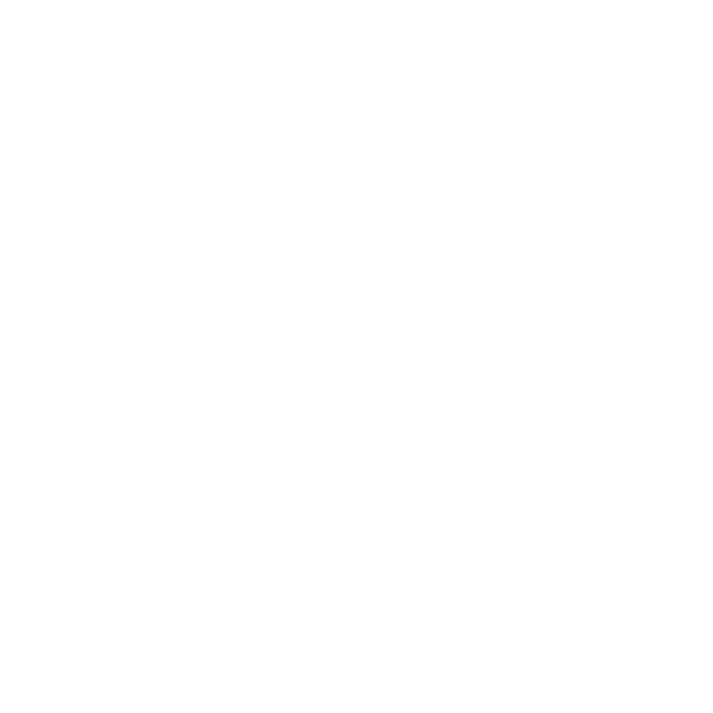 logo leadsen blanc